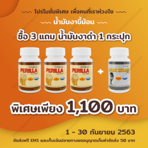 blacksesameoil-งาขี้ม้อน-Promotion-Sep.-2020